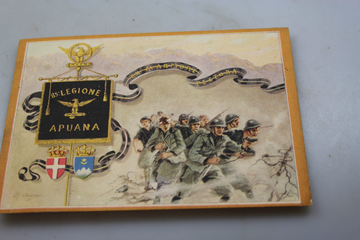 Cartolina postale MVSN