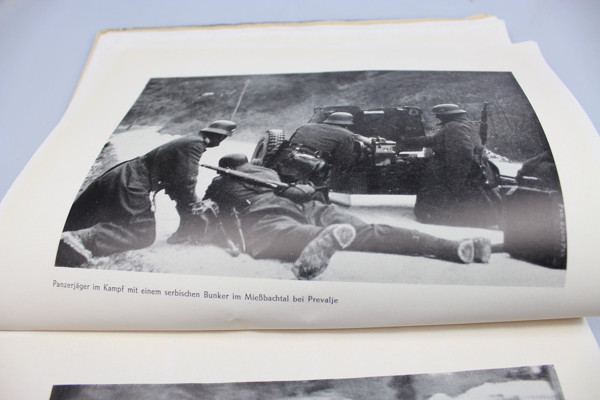 " Unserm Edelweiss in Yugoslavien "