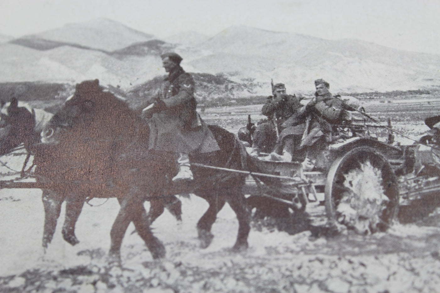 Cartolina postale serie "Das deutsche Heer an allen Fronten"