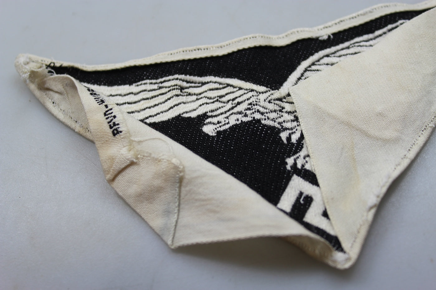 Aquila petto Luftwaffe ginnica