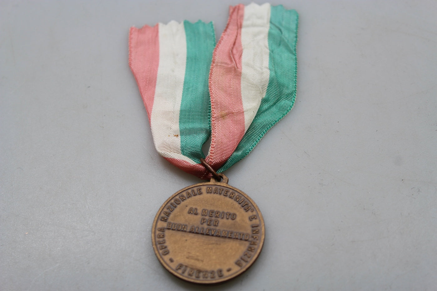 Medaglia al Merito ONMI