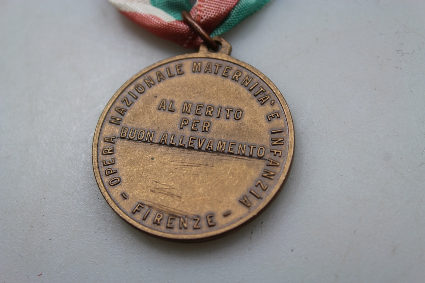 Medaglia al Merito ONMI