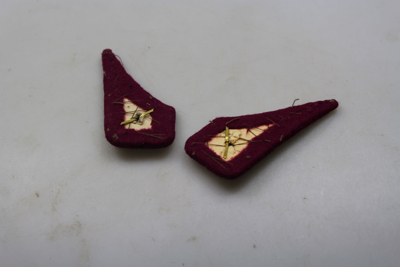 Coppia mostrine truppa REI WW2