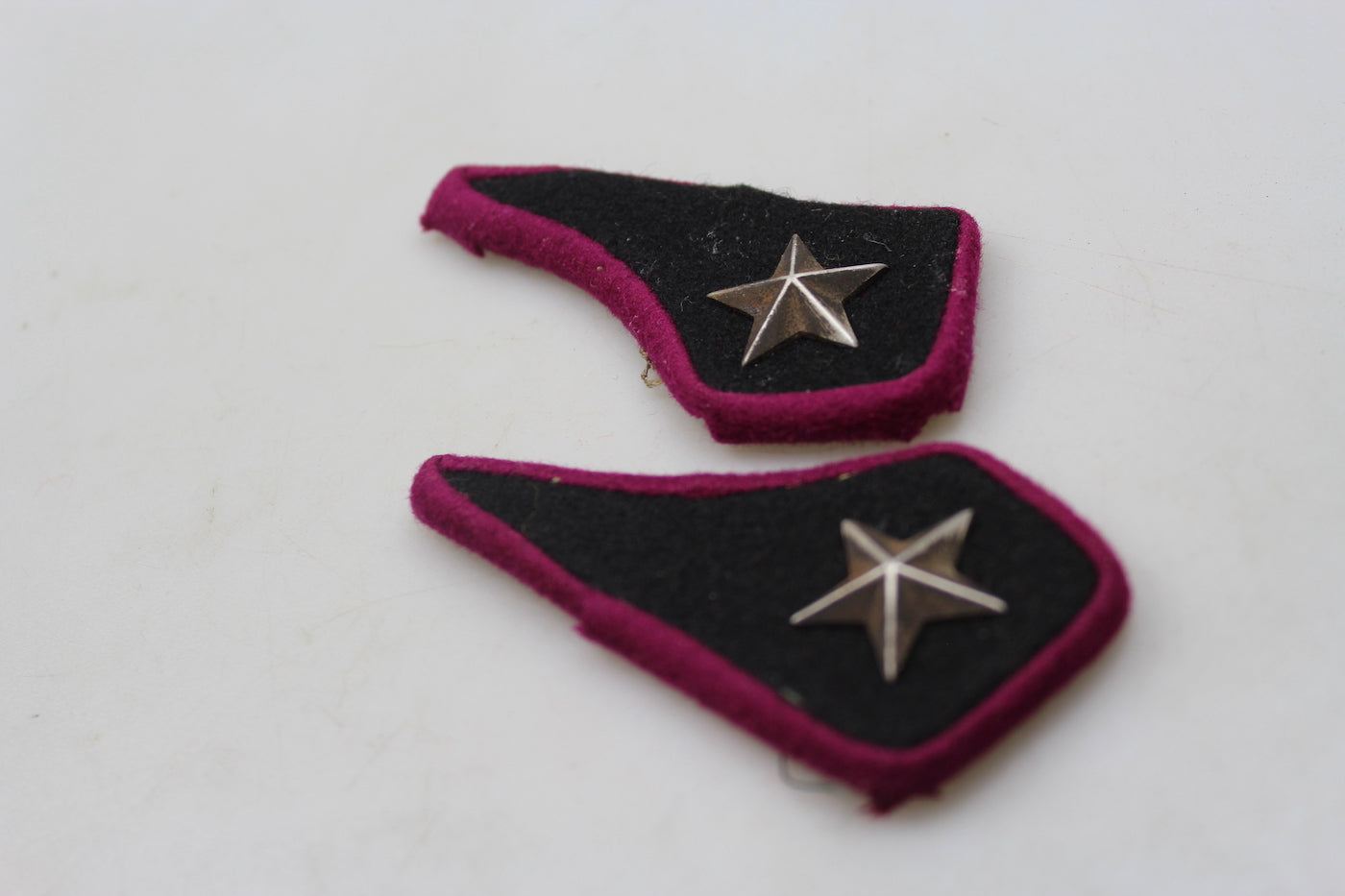 Coppia mostrine truppa REI WW2