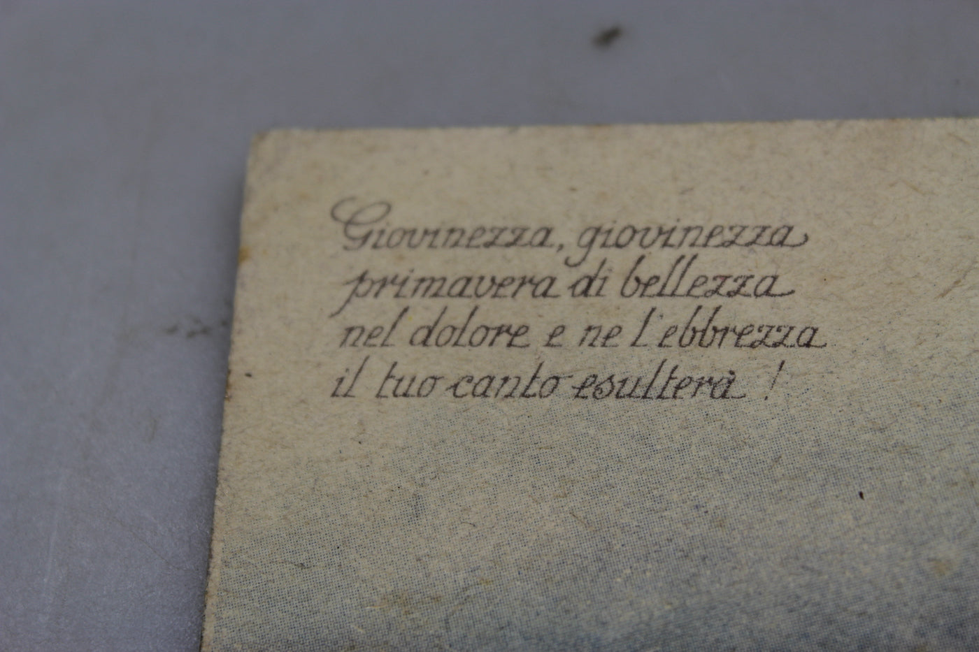 Cartolina postale "Giovinezza"