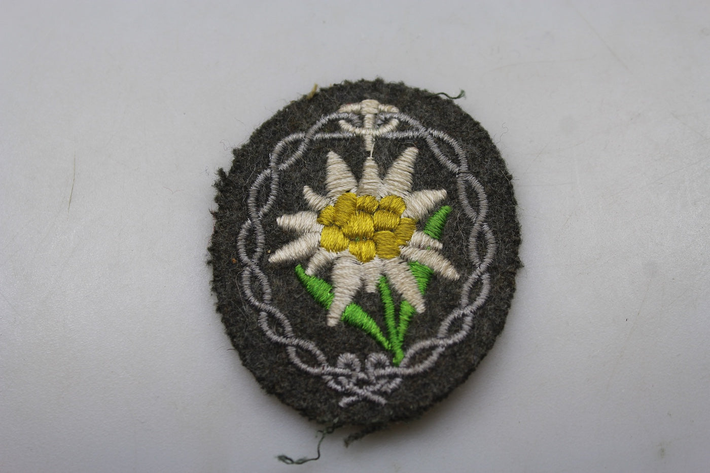 Edelweiss Gebirgsjager da giacca WW2