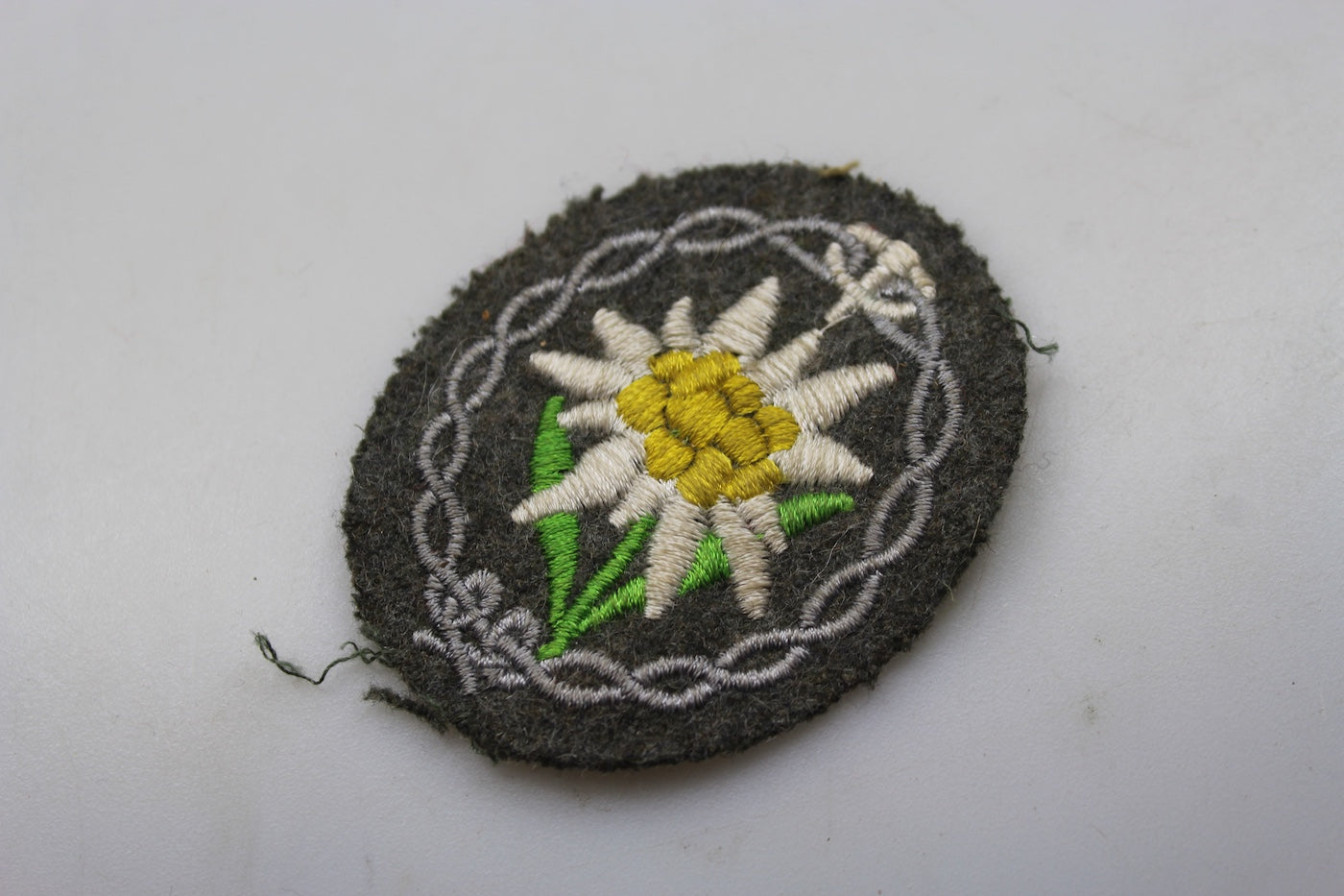 Edelweiss Gebirgsjager da giacca WW2