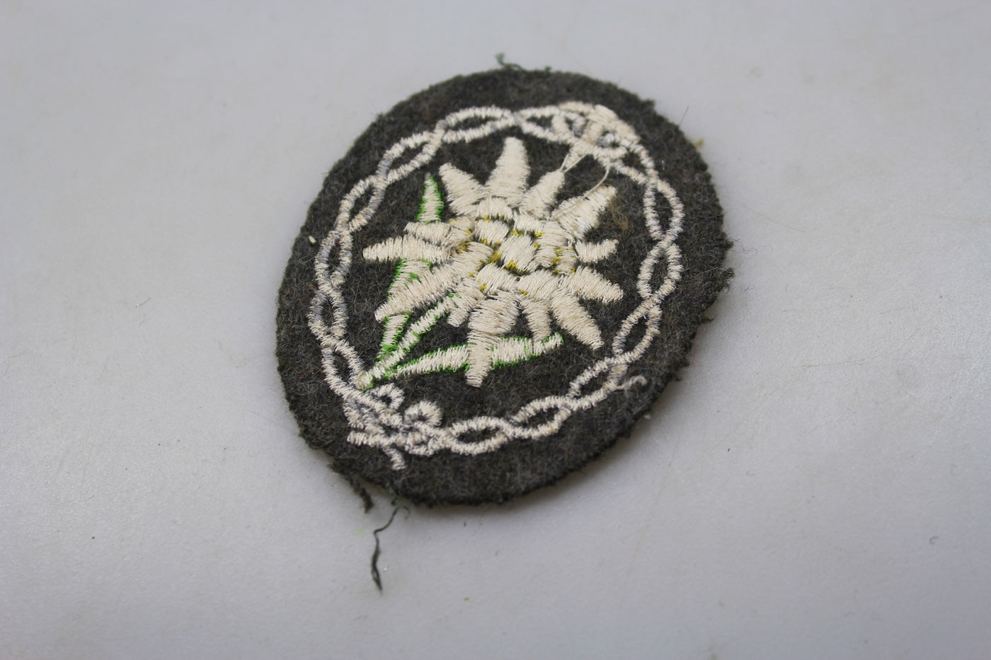 Edelweiss Gebirgsjager da giacca WW2