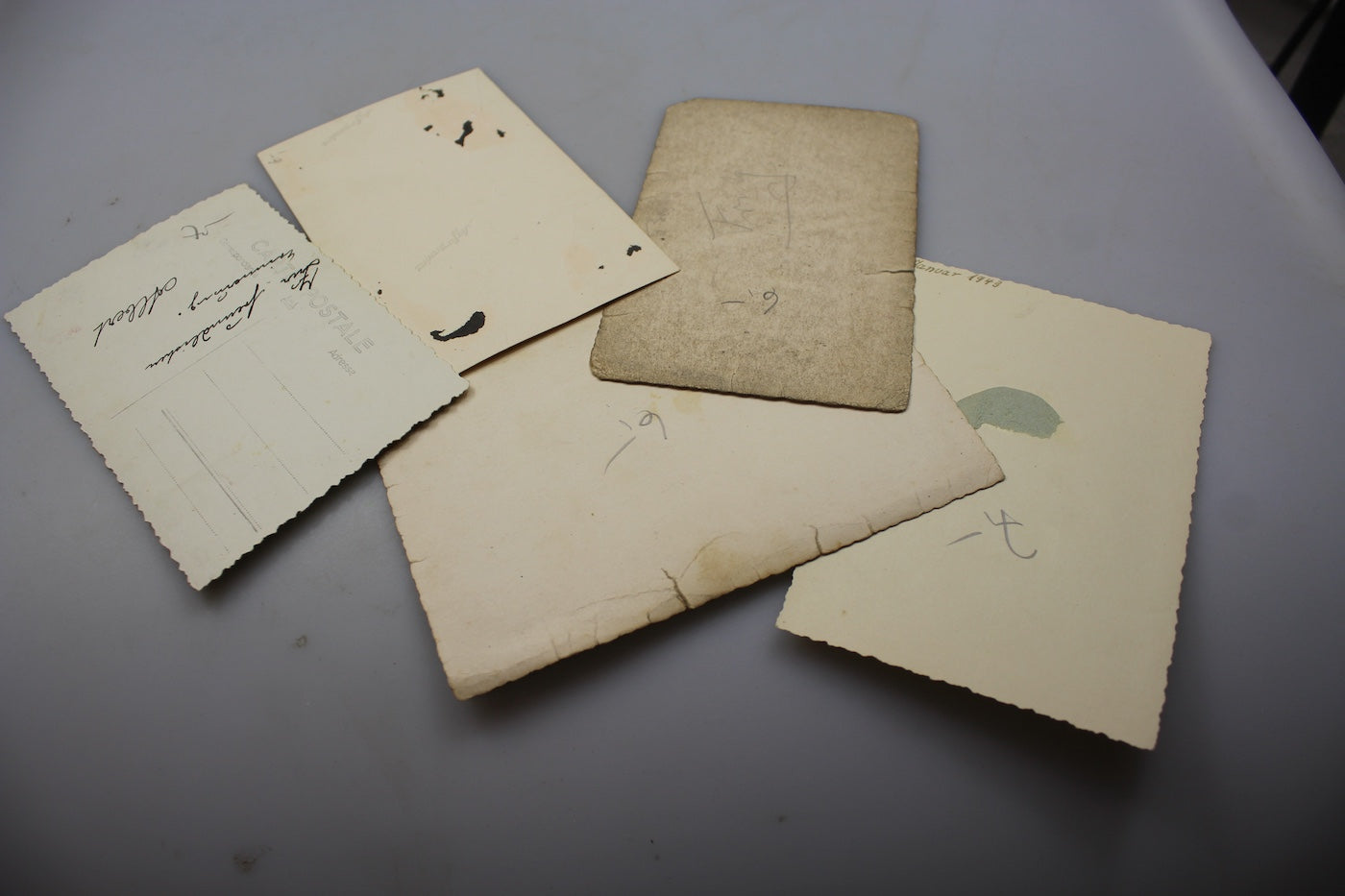 5 foto Postcard WH WW2
