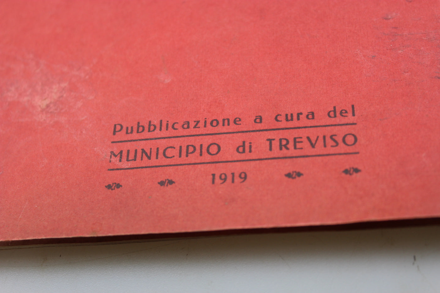 "Il Martirio di Treviso" -  1919 A. Fraccaroli
