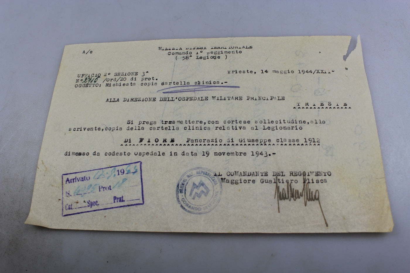 Documento GNR
