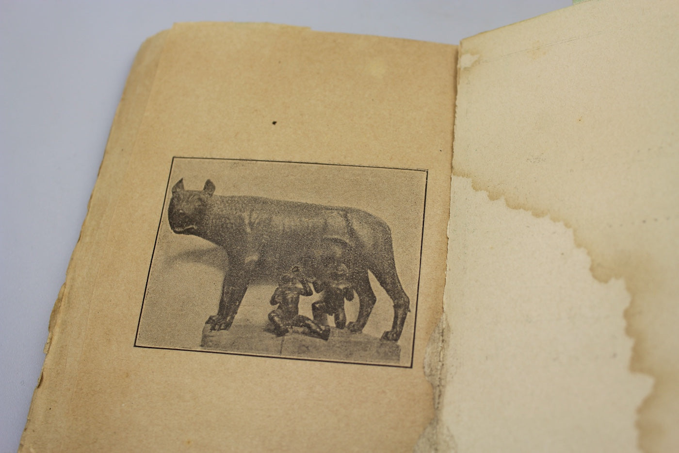 Agenda tascabile "Liberale" del 1904