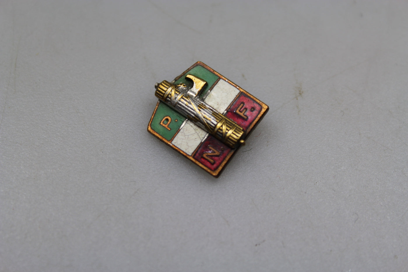 Pin smaltato PNF