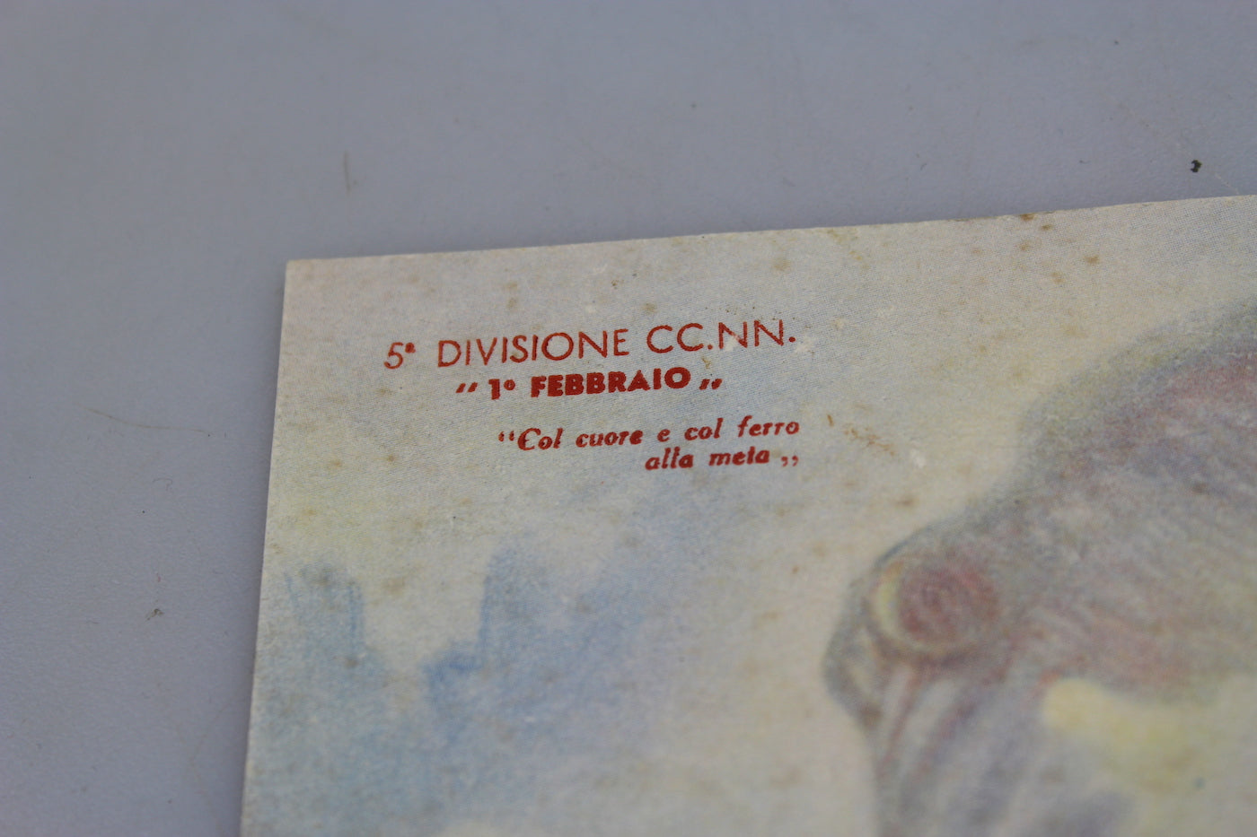 Cartolina postale MVSN