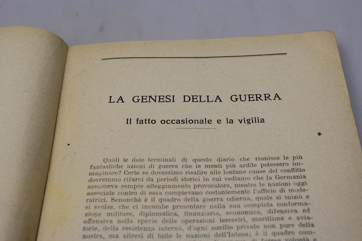 "Epopea della Prima Guerra Mondiale" diario 1914/18