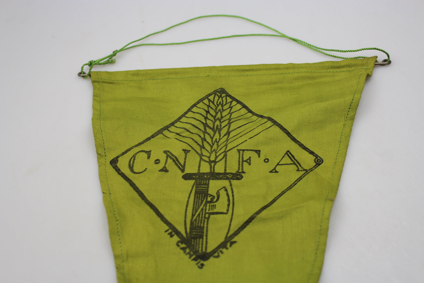 Gagliardetto C.N.F.A.