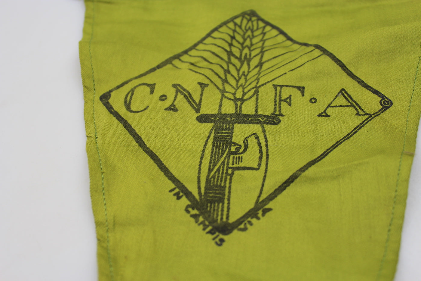 Gagliardetto C.N.F.A.