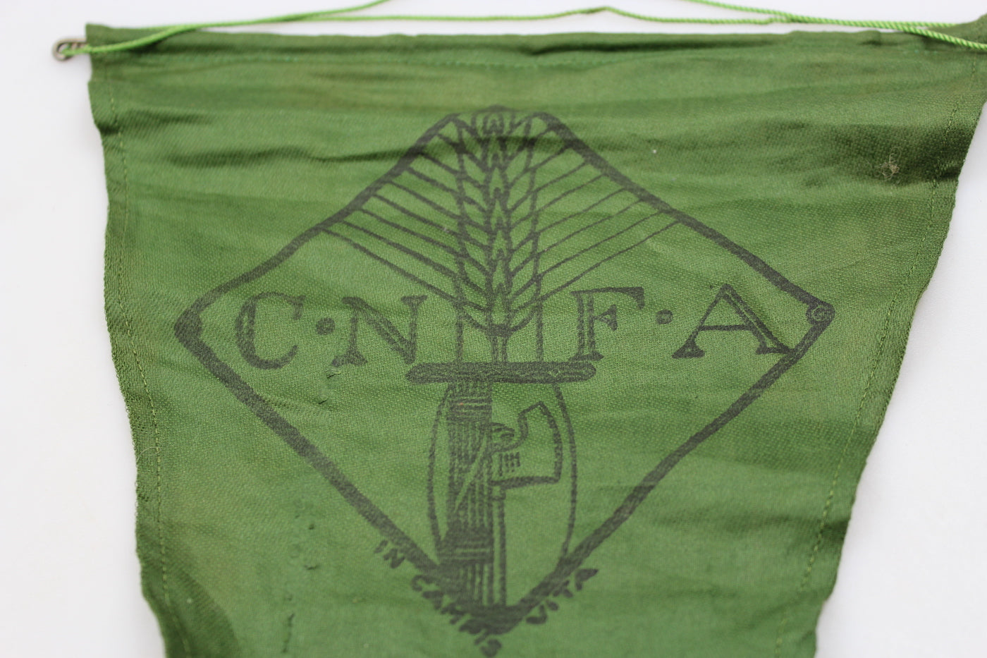 Gagliardetto C.N.F.A.
