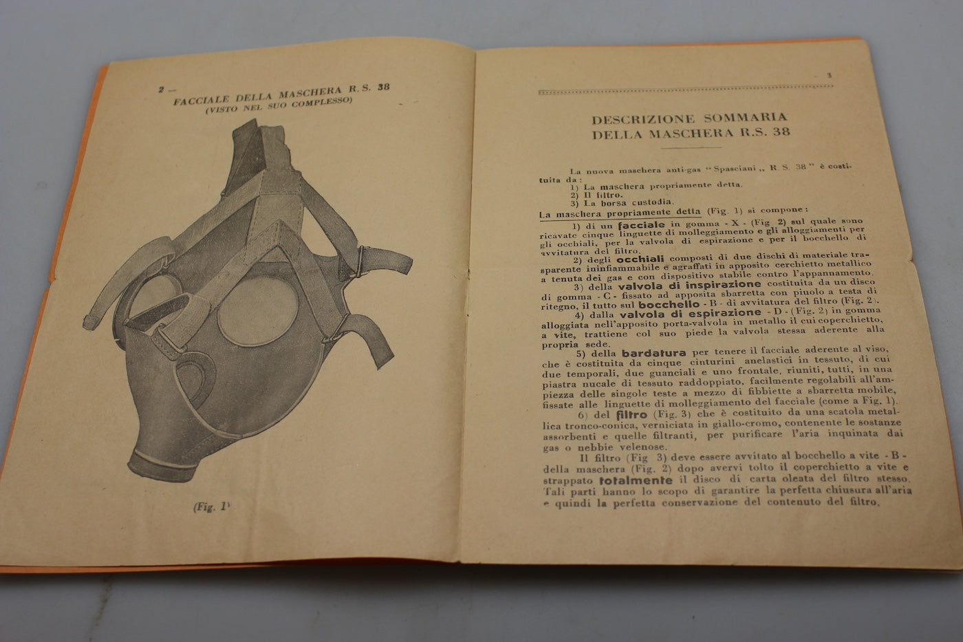 Manuale istruzioni Maschera antigas R.S.38