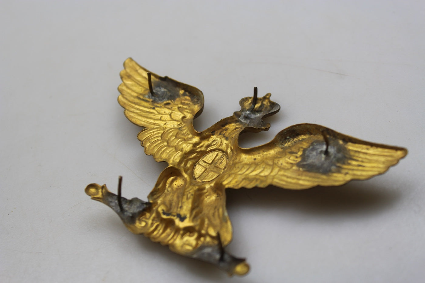 Aquila giberna bandoliera Ufficiale REI