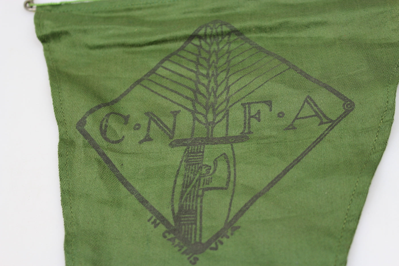 Gagliardetto C.N.F.A.