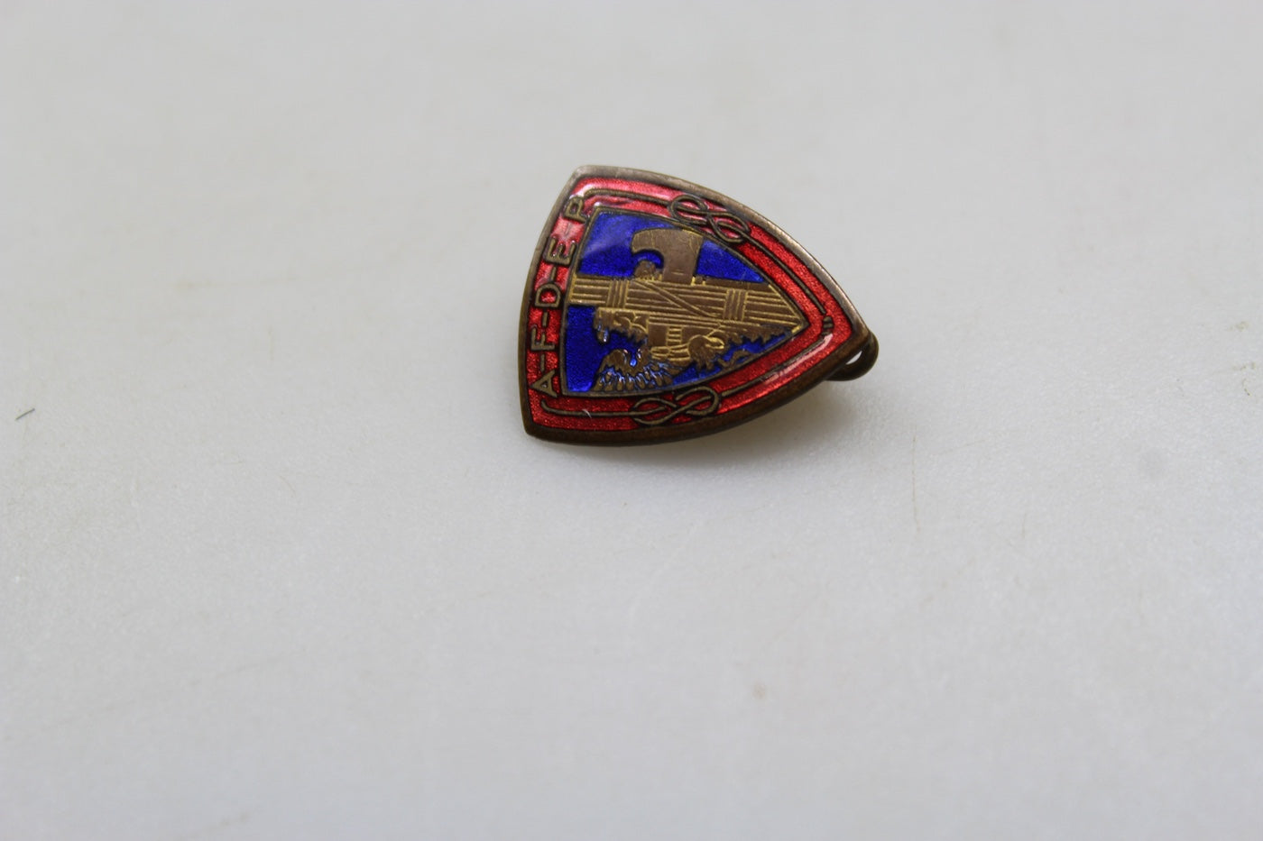 Pin smaltato PNF AFDEP