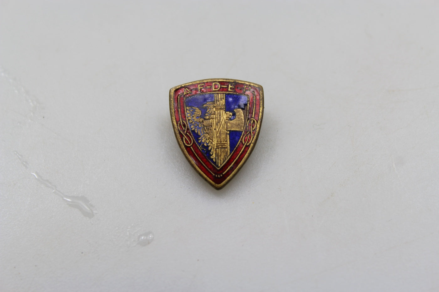 Pin smaltato PNF AFDEP