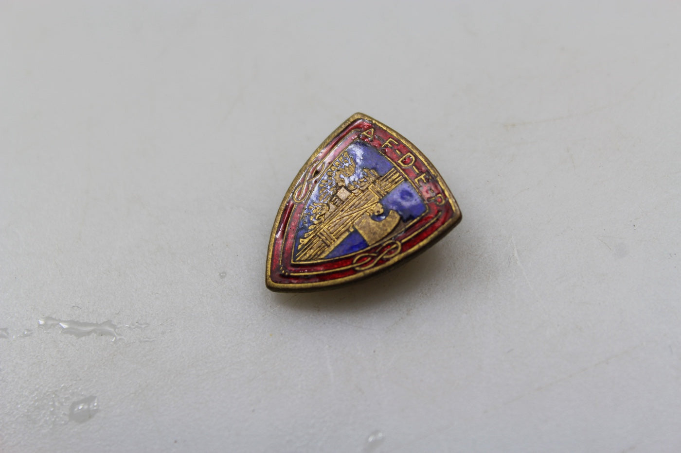 Pin smaltato PNF AFDEP