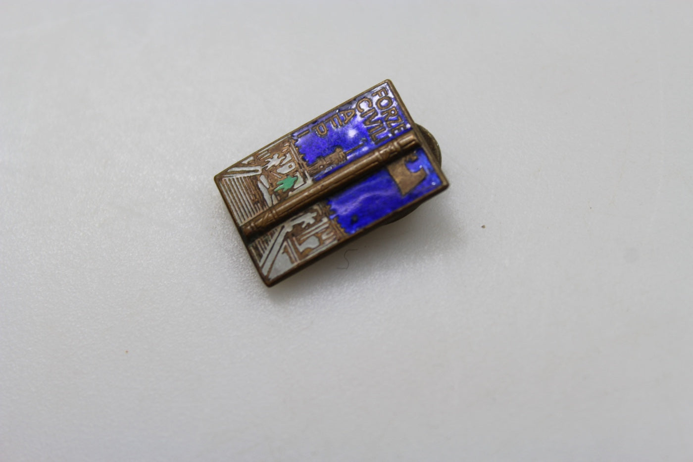 Pin smaltato AFPI - Forze Civili