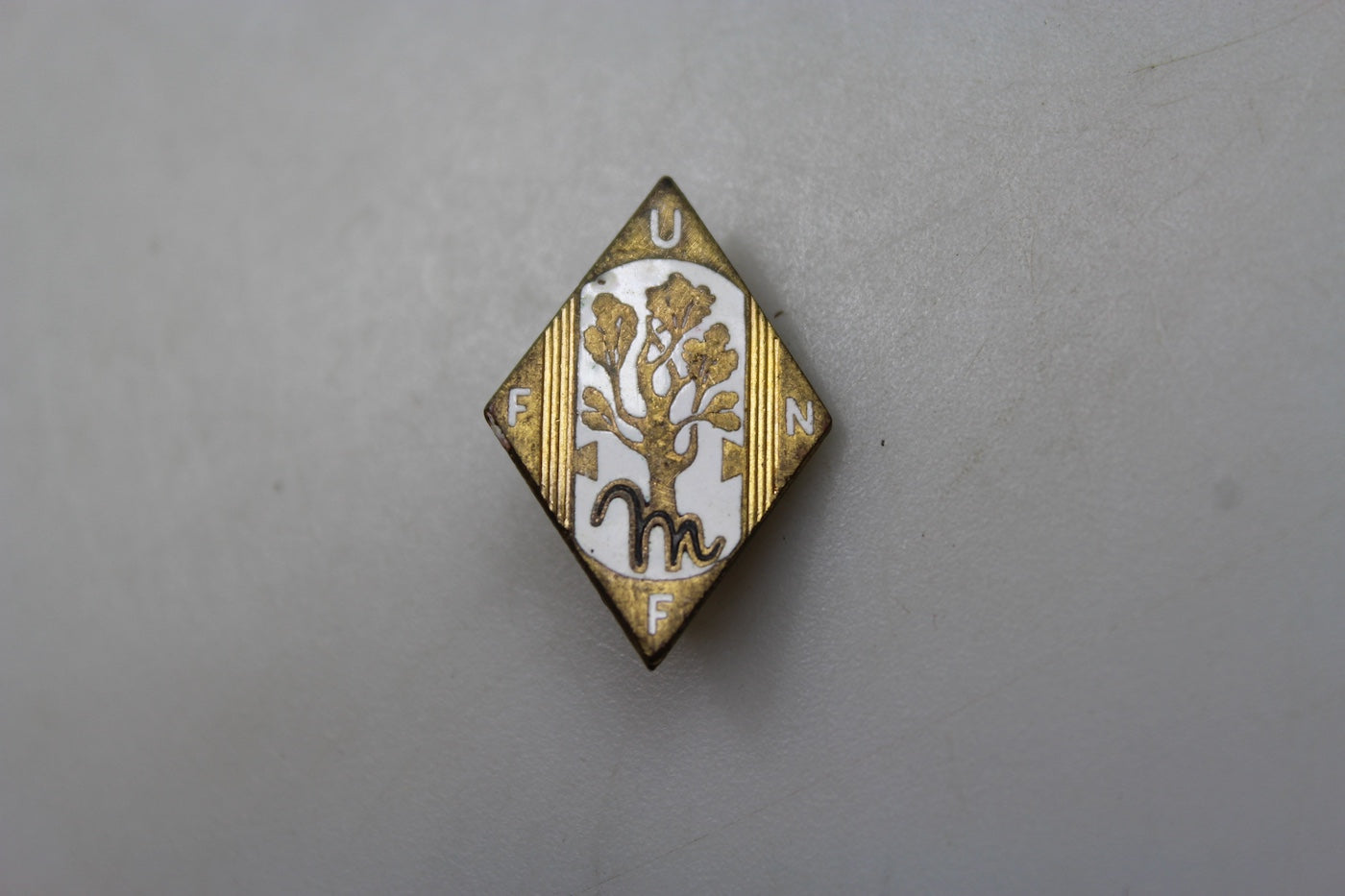 Pin smaltato UFFN