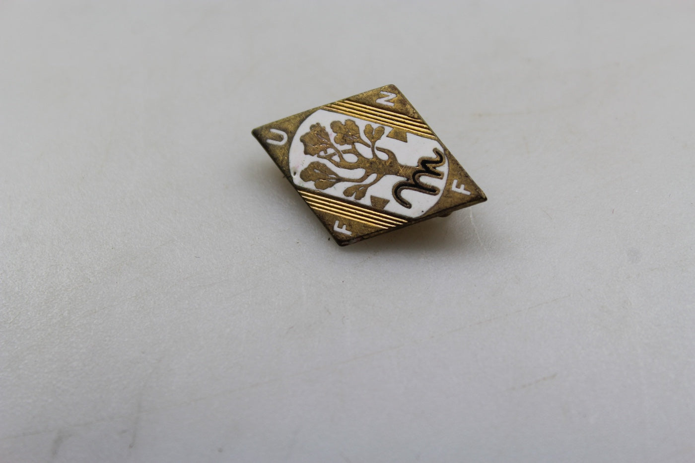 Pin smaltato UFFN