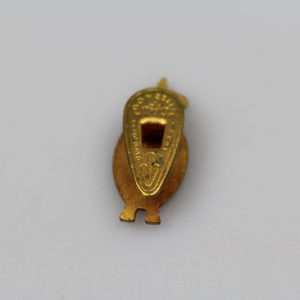 Pin smaltato da bavero UNUCI