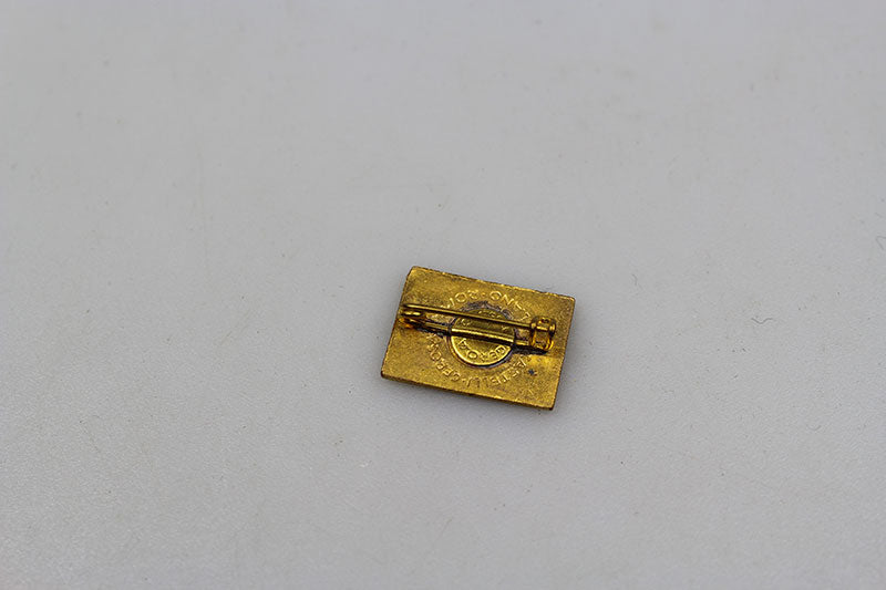 Pin smaltato OLD