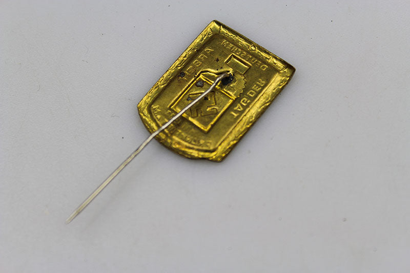 Pin NSBO  Tag der Arbeit - 1933