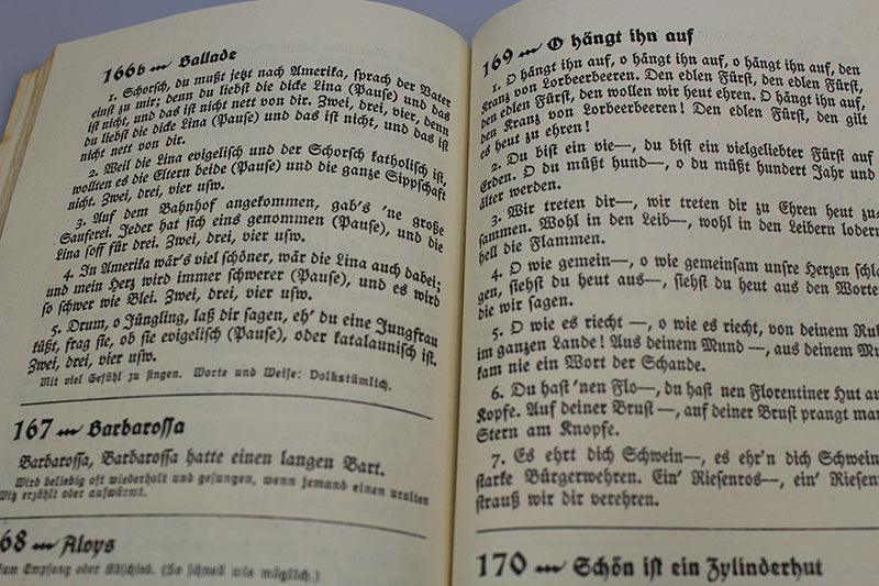 "Singend Wollen wir Marschieren" - RAD, foto 5