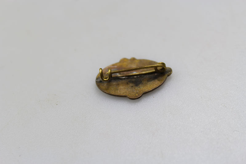 Pin smaltato Sindacati PNF