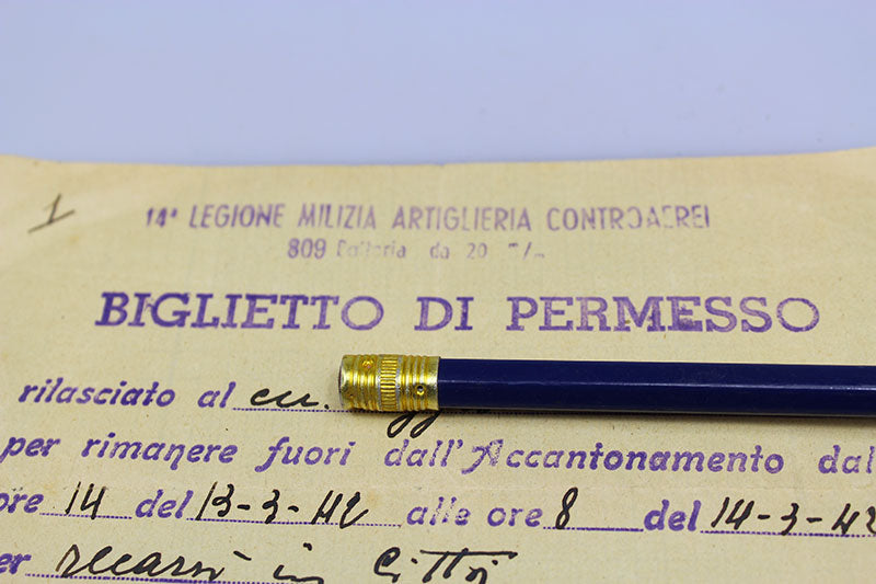 Documenti/permessi MVSN Firenze