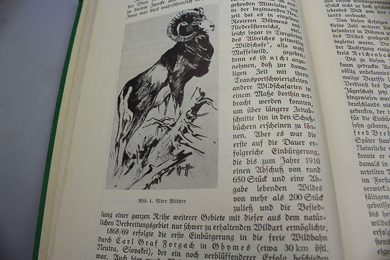"Jahrbuch der Deutschen Jagerschaft" 1938/39. Manuale illustrato