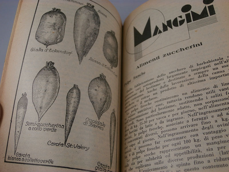 "Agenda agricola" anno 1933 XI° E.F