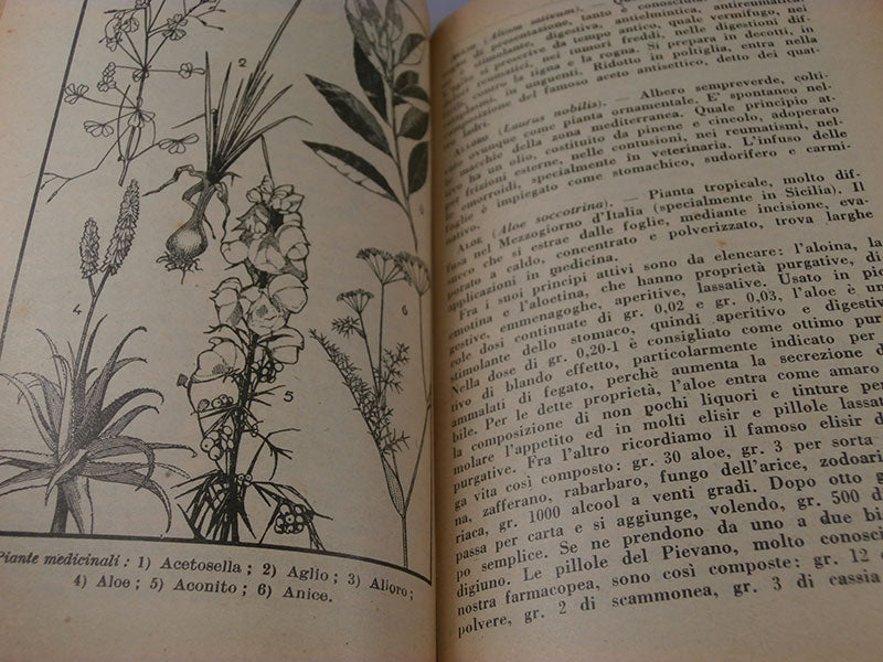 "Agenda agricola"  1933 XI° E.F